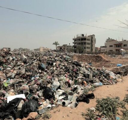 ‘Hospitals have become battlegrounds’: Gaza’s health system on brink of collapse