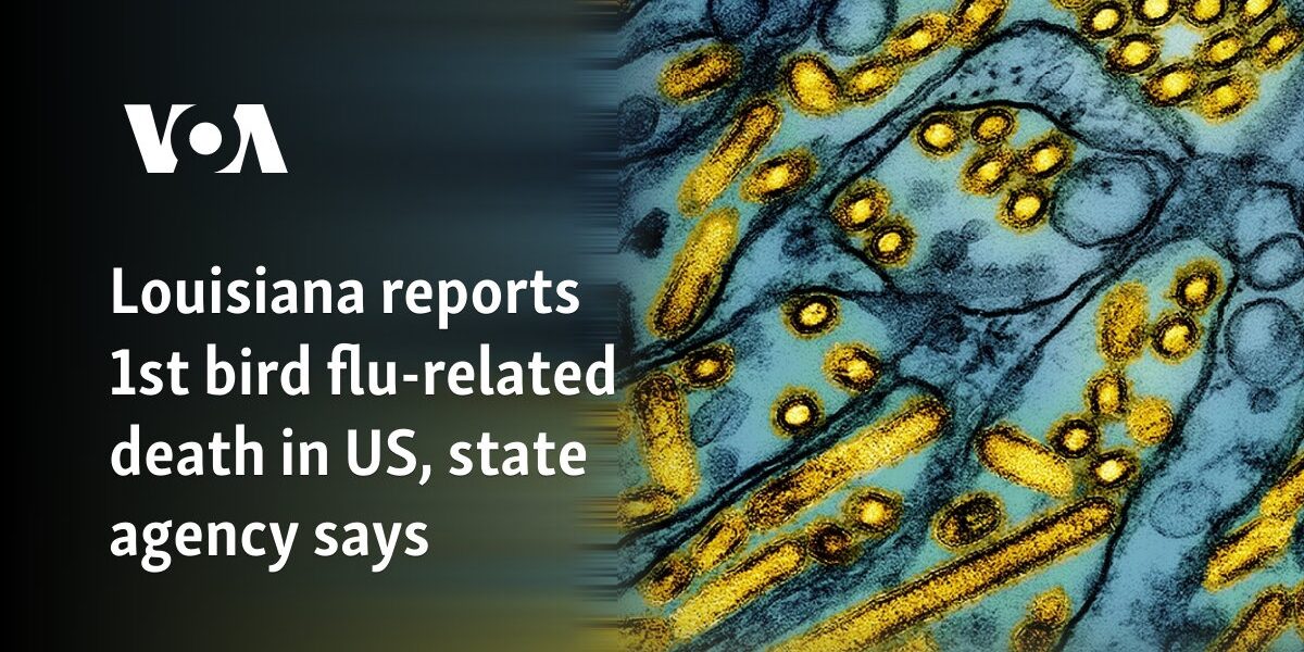 Louisiana reports 1st bird flu-related death in US, state agency says