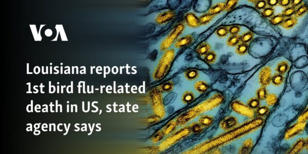 Louisiana reports 1st bird flu-related death in US, state agency says