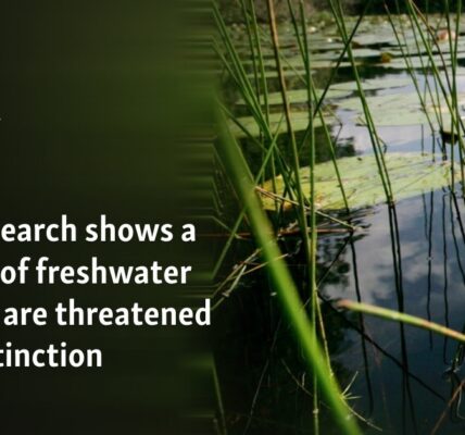 New research shows a quarter of freshwater animals are threatened with extinction