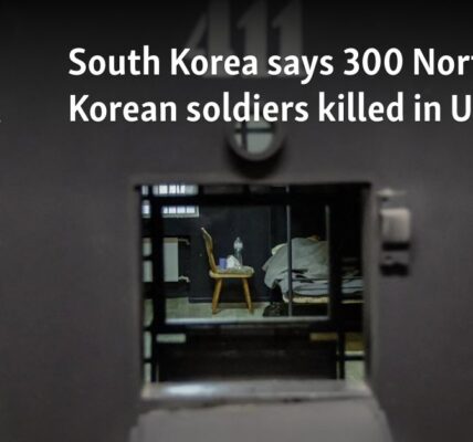 South Korea says 300 North Korean soldiers killed in Ukraine