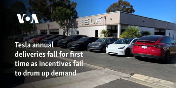 Tesla annual deliveries fall for first time as incentives fail to drum up demand