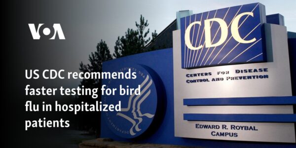 US CDC recommends faster testing for bird flu in hospitalized patients