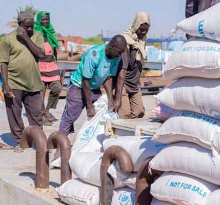 Conflict has turned parts of Sudan ‘into a hellscape,’ Security Council hears