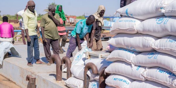 Conflict has turned parts of Sudan ‘into a hellscape,’ Security Council hears