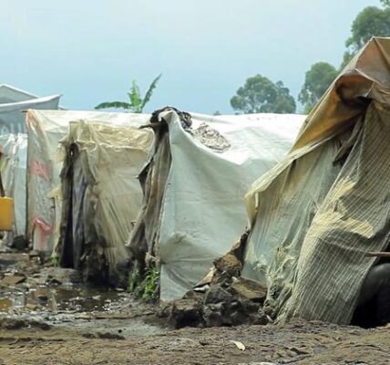 DR Congo crisis: Thousands of displaced in Goma forced to flee again