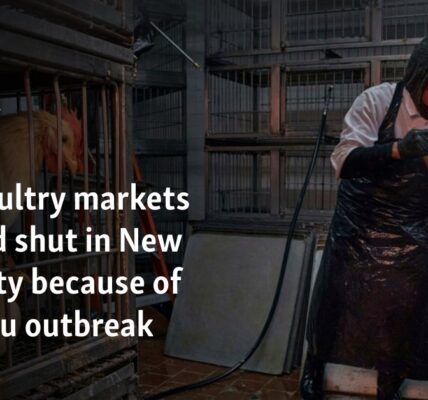 Live poultry markets ordered shut in New York because of avian flu outbreak