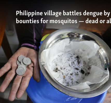 Philippine village battles dengue by offering bounties for mosquitos — dead or alive