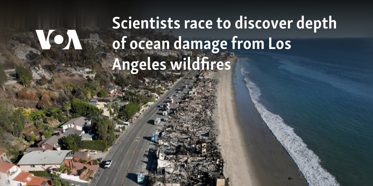 Scientists race to discover depth of ocean damage from Los Angeles wildfires