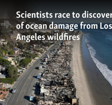 Scientists race to discover depth of ocean damage from Los Angeles wildfires