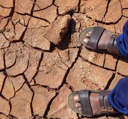 Somalia faces escalating crisis amid drought, conflict and price hikes