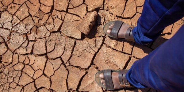 Somalia faces escalating crisis amid drought, conflict and price hikes