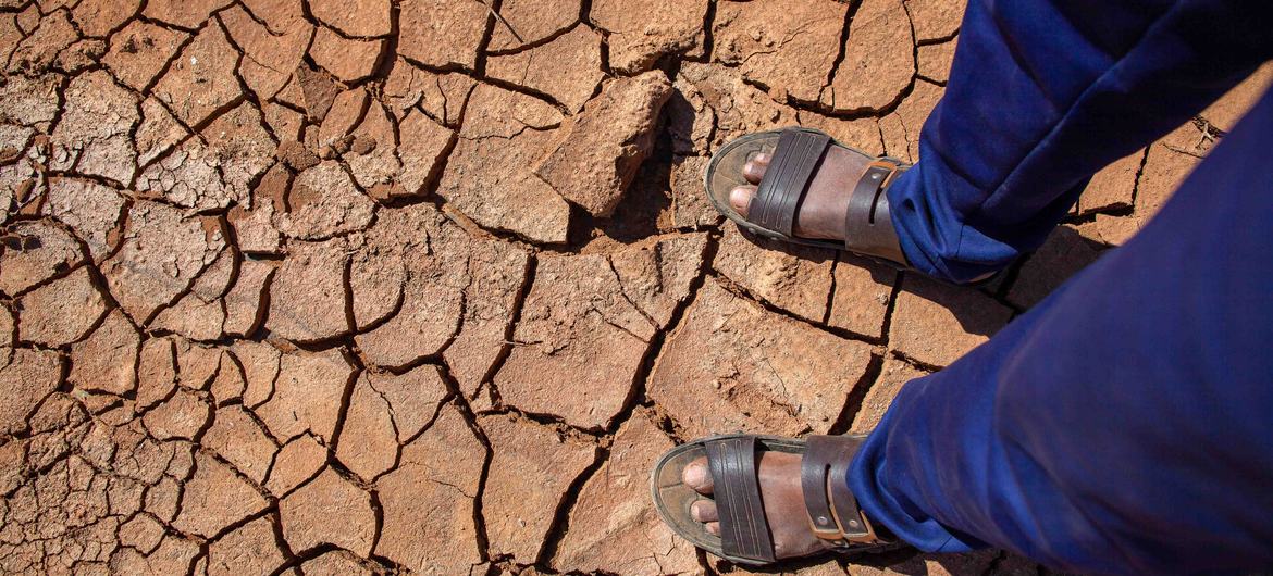 Somalia faces escalating crisis amid drought, conflict and price hikes