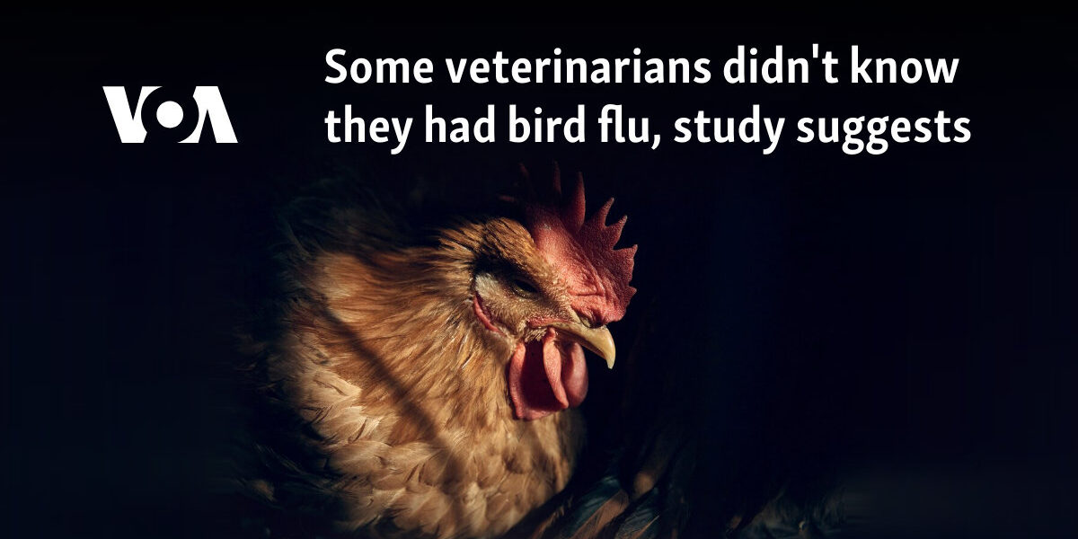 Some veterinarians didn't know they had bird flu, study suggests