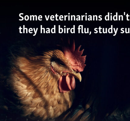 Some veterinarians didn't know they had bird flu, study suggests