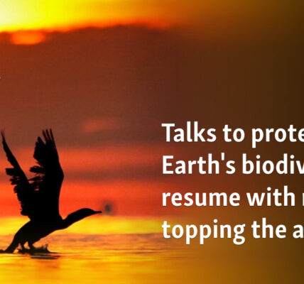 Talks to protect Earth's biodiversity resume with money topping the agenda