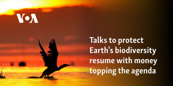 Talks to protect Earth's biodiversity resume with money topping the agenda