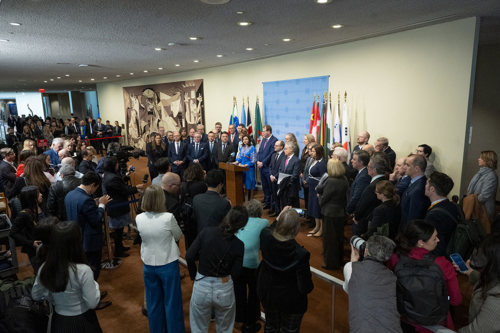 The Deputy Foreign Minister of Ukraine, Betsa Mariana (centre at podium), addresses the media outside the Security Council at UN Headquarters in New York.