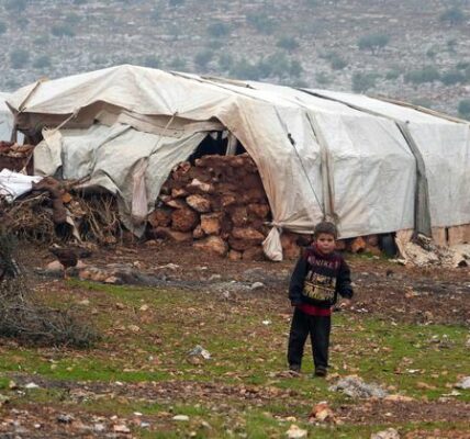 UNDP calls for long-term investment to support recovery in Syria