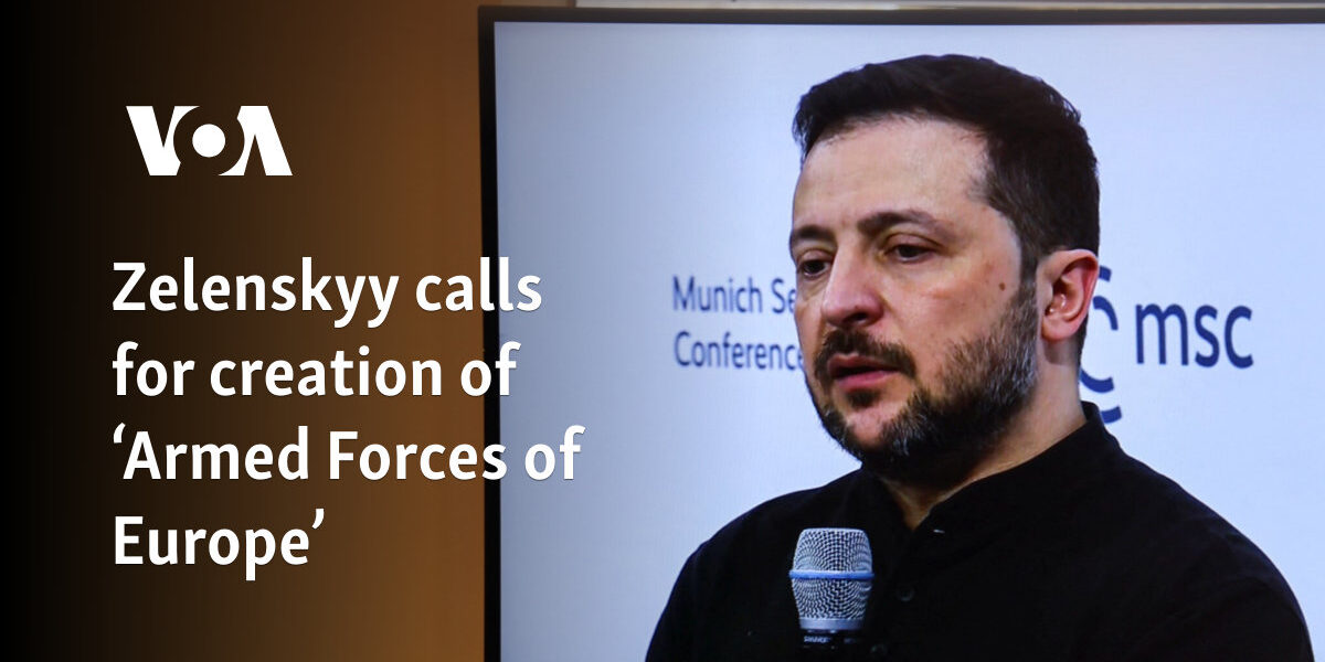 Zelenskyy calls for creation of ‘Armed Forces of Europe’