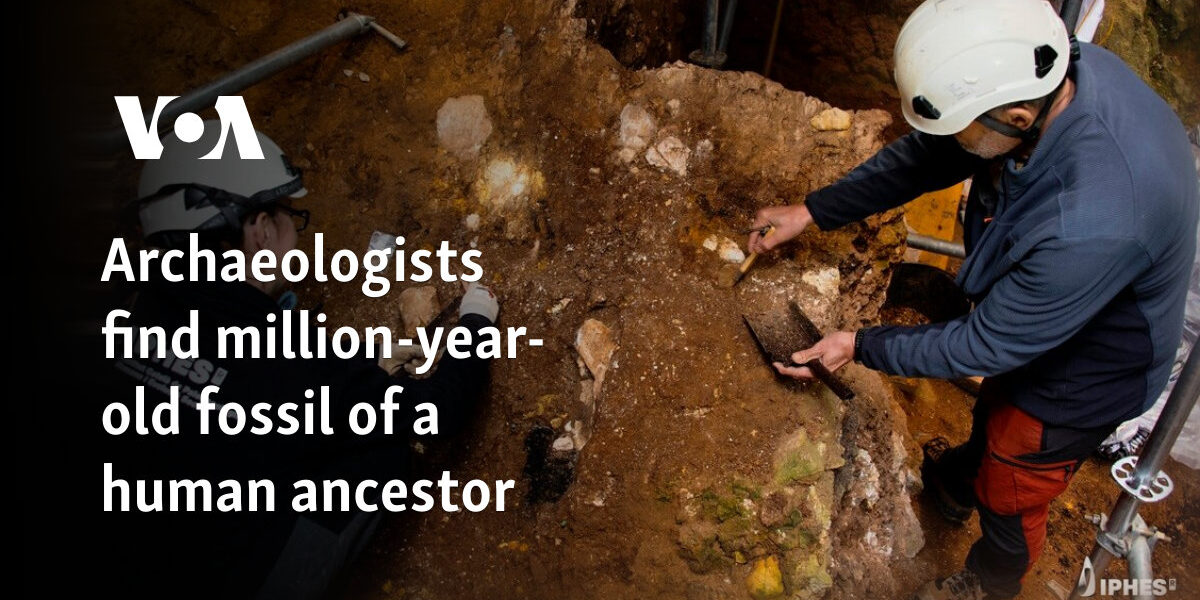 Archaeologists find million-year-old fossil of a human ancestor