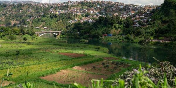 DR Congo crisis: WFP condemns looting in Bukavu after M23 rebels take key city