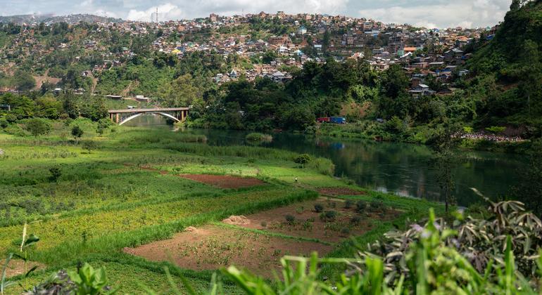 DR Congo crisis: WFP condemns looting in Bukavu after M23 rebels take key city