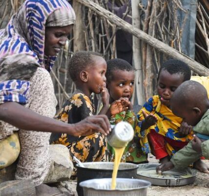 Drought and dire hunger loom in Somalia, warns UN food agency WFP