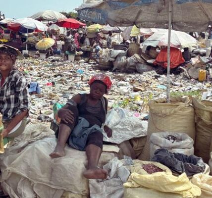 ‘Haiti’s survival is at stake,’ says UN expert, warning of worsening crisis