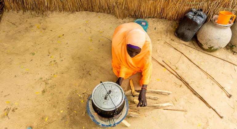 Millions in Central Sahel and Nigeria face food cuts amid WFP funding crisis