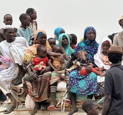 Sudan: Access to stricken Zamzam camp ‘is nearly impossible’