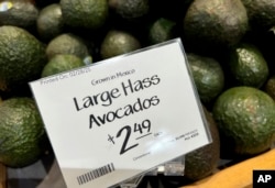 Avocados imported from Mexico are for sale in a supermarket in Miami as the United States imposed 25% tariffs on goods from Canada and Mexico, starting a trade war with its closest neighbors and allies, Mar. 5, 2025.