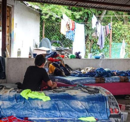 Colombia: UN mission chief stresses need to advance implementation of peace deal