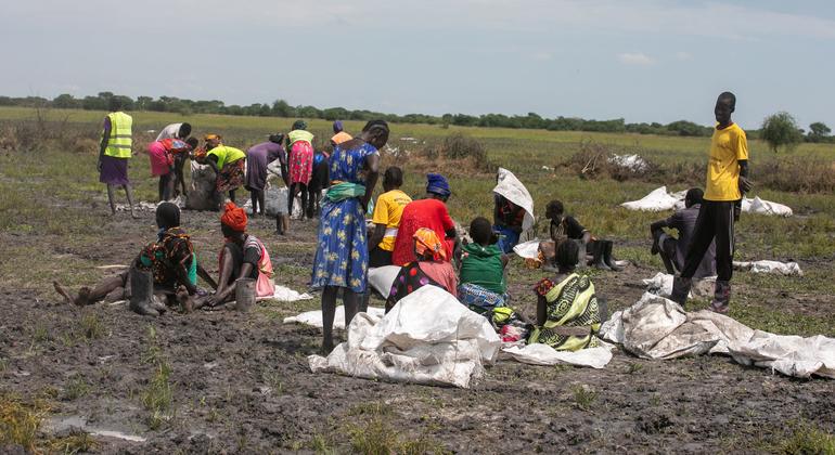 Rise in violence against civilians in South Sudan