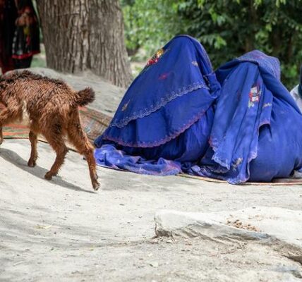 Afghanistan: Taliban restrictions on women’s rights intensify