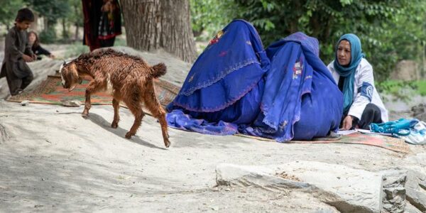 Afghanistan: Taliban restrictions on women’s rights intensify