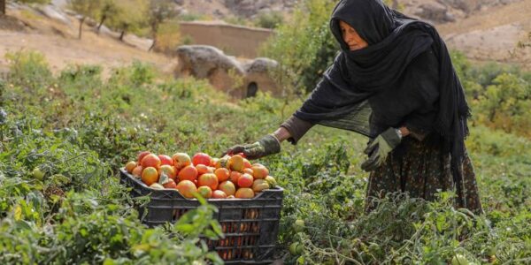 Afghanistan’s socioeconomic crisis deepens amid crackdown on women’s rights