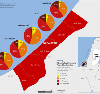 Gaza: Starvation looms for one in five people, say food security experts