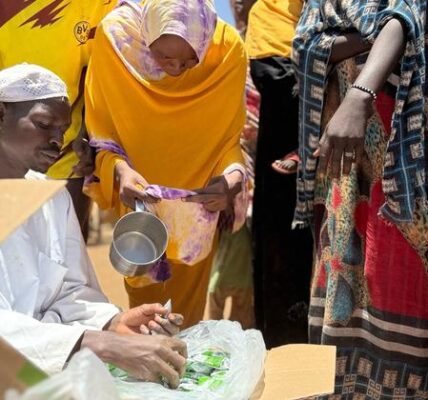 Hundreds killed in Sudan’s camps for displaced people