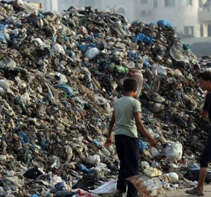 Plague of rats and insects provides latest challenge for war-shattered Gazans