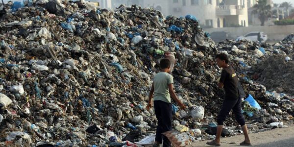 Plague of rats and insects provides latest challenge for war-shattered Gazans