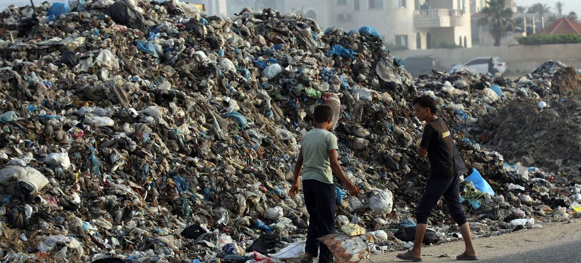 Uncollected trash in Gaza is encouraging rats. Uncollected trash in Gaza is encouraging rats.