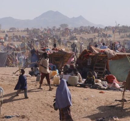 Sudan: UN rights chief appeals for greater protection of civilians in besieged El Fasher